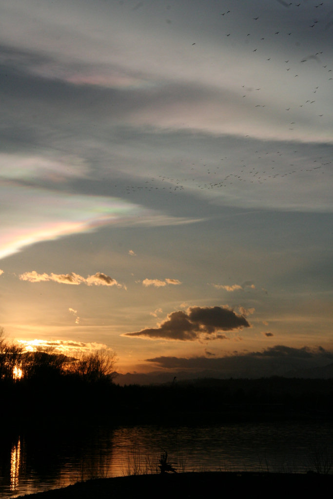 Nature's art