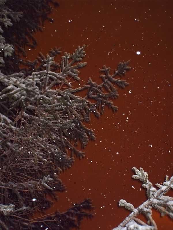 Snow