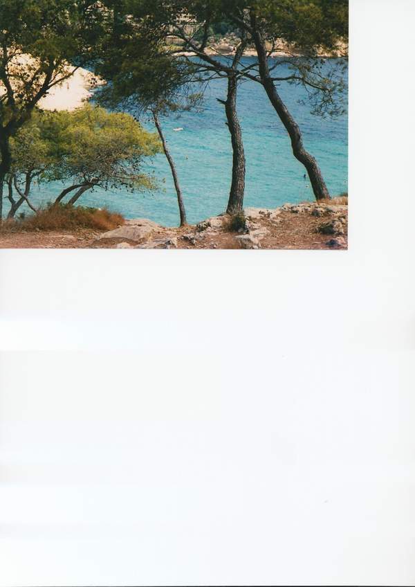 palma di maiorca