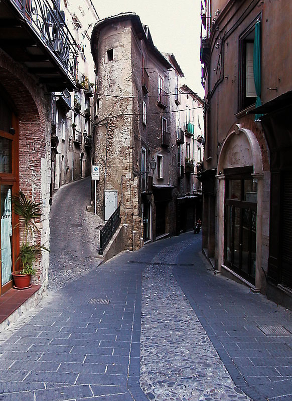 corso telesio