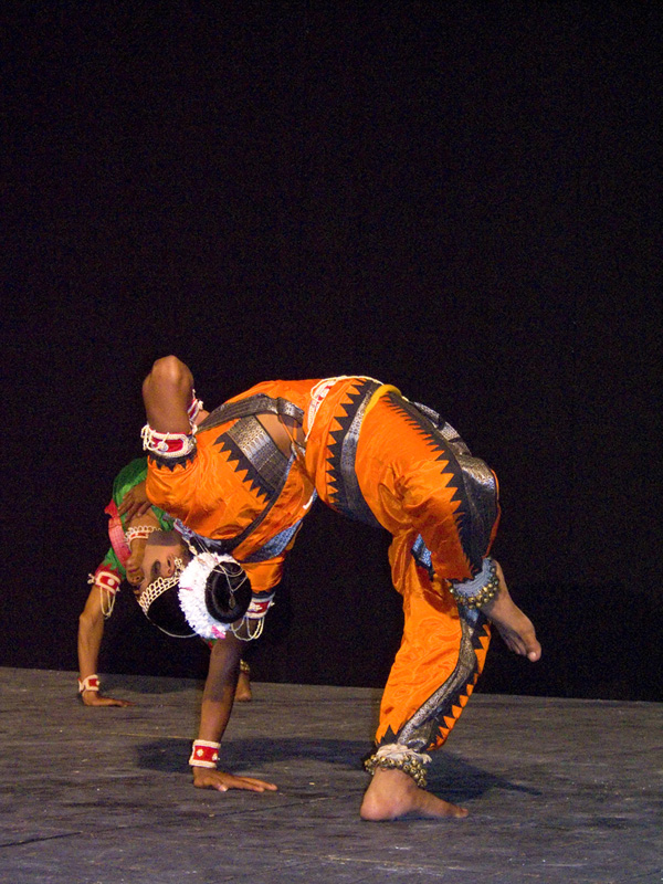 Miln Mla (7)