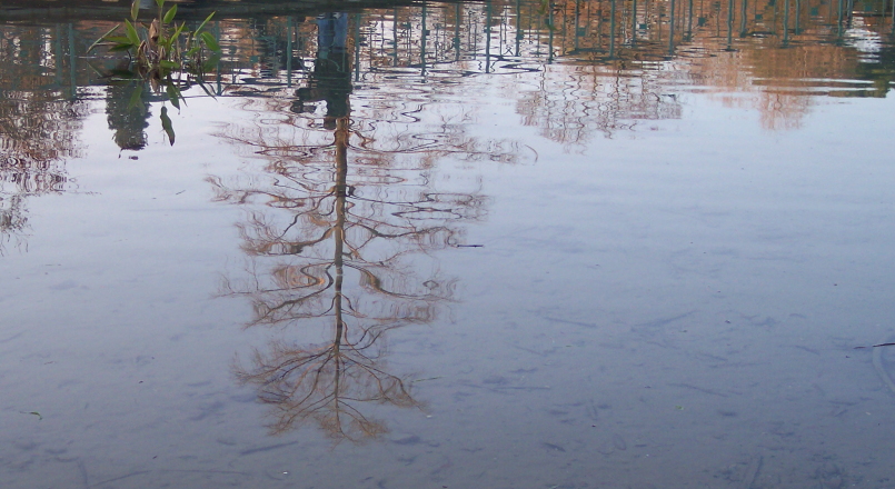 riflessi nell'acqua