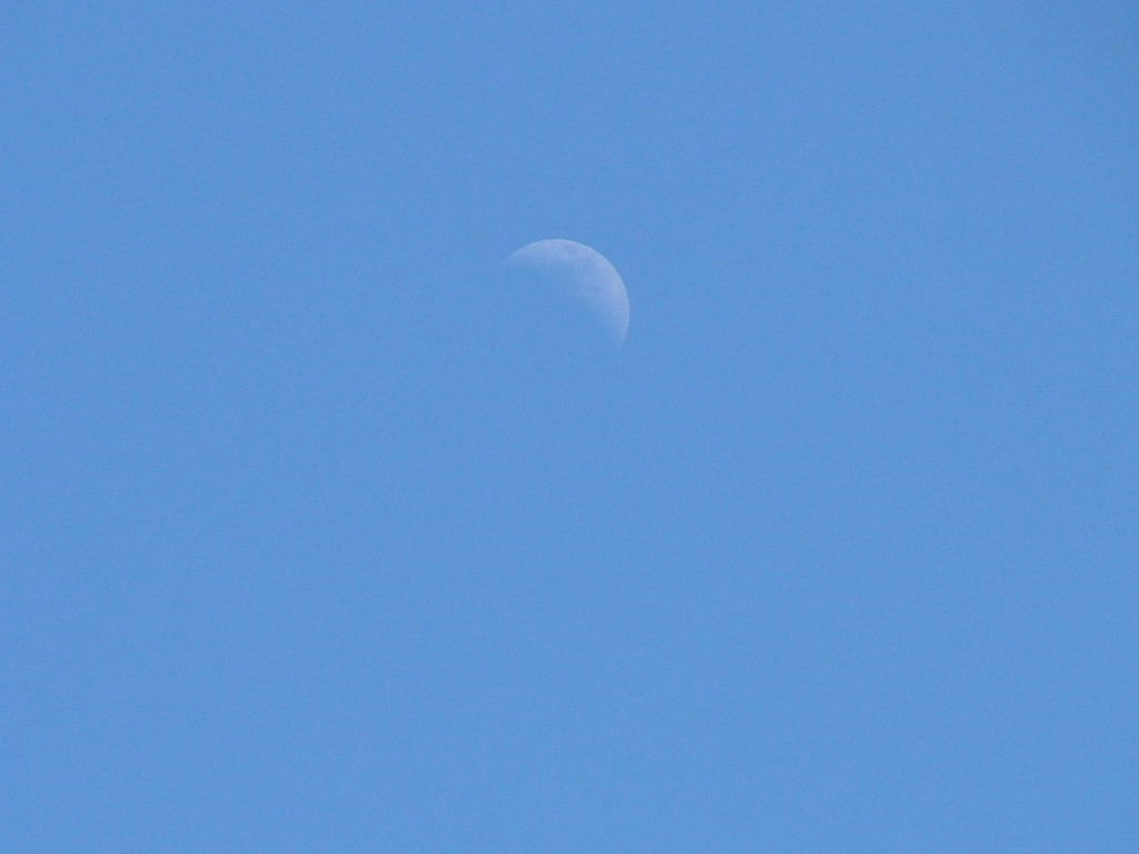 La mia prima foto della Luna