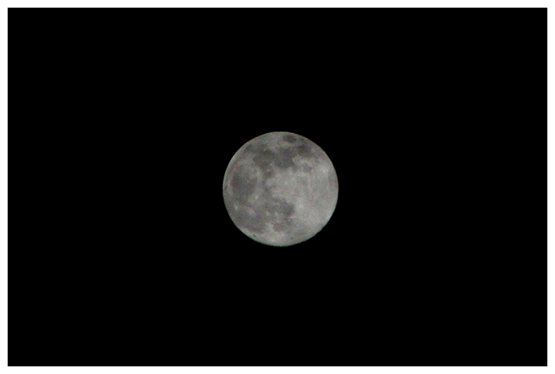 the moon crop2