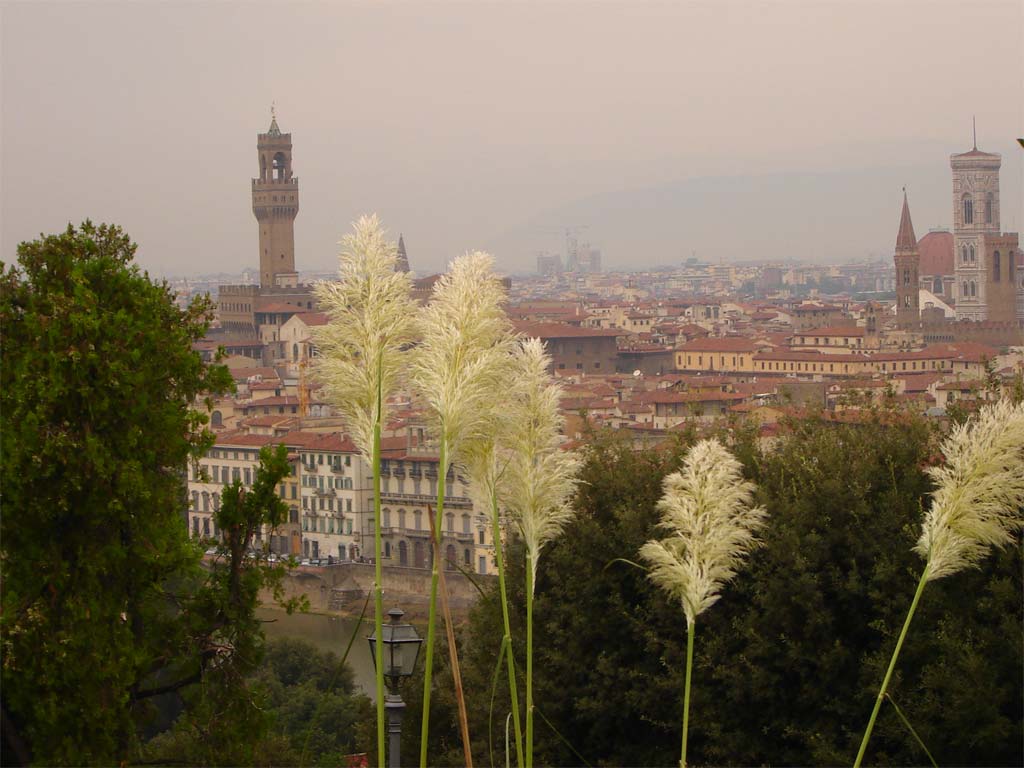 firenze