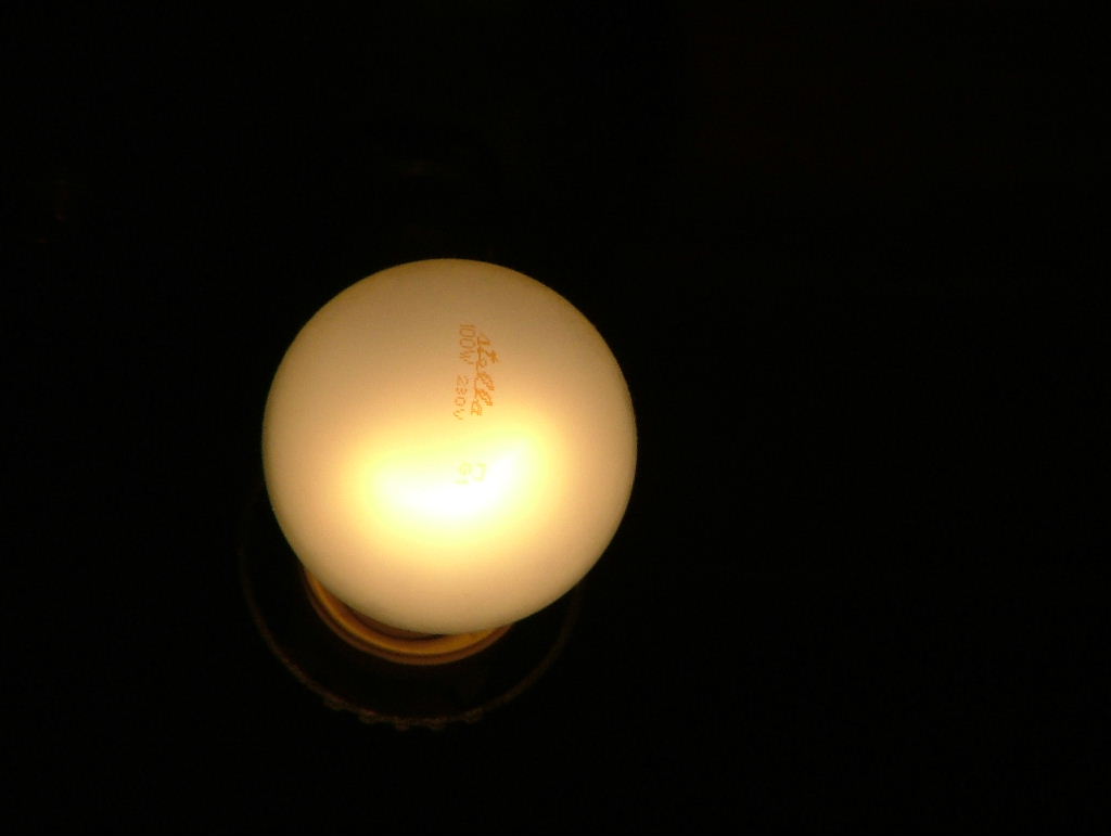 lampadina