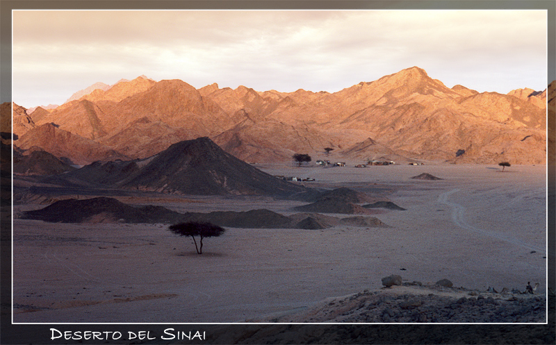 Desrto del Sinai