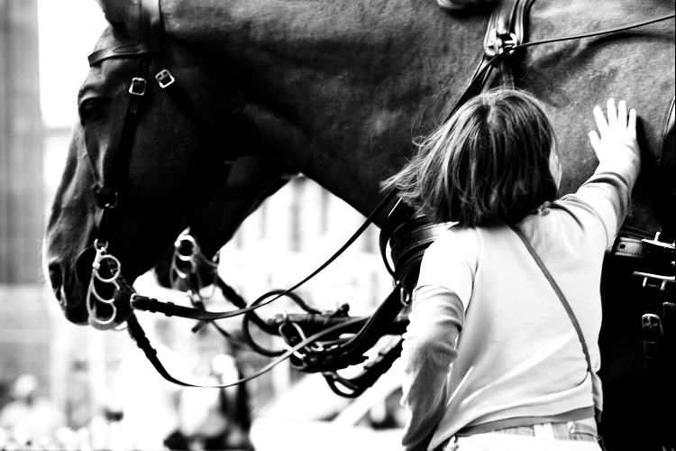 La bimba ed il cavallo