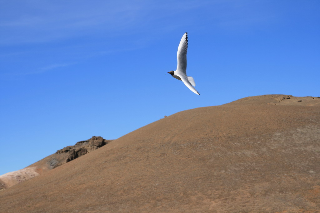 Volo sospeso