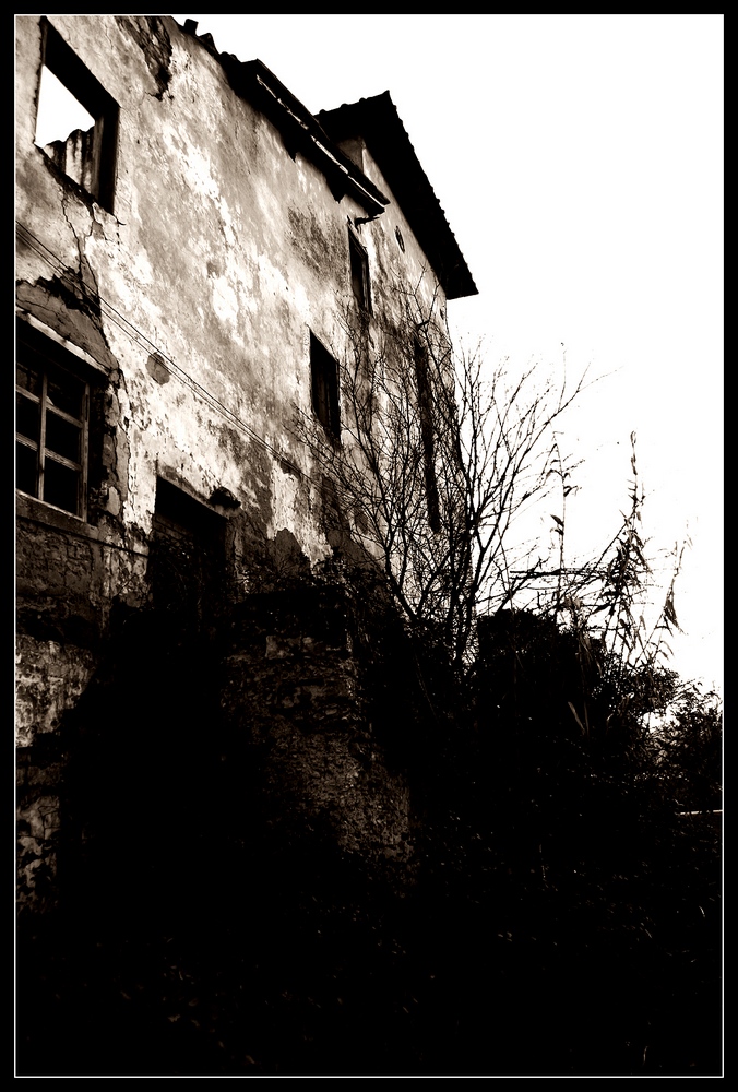 stagno5