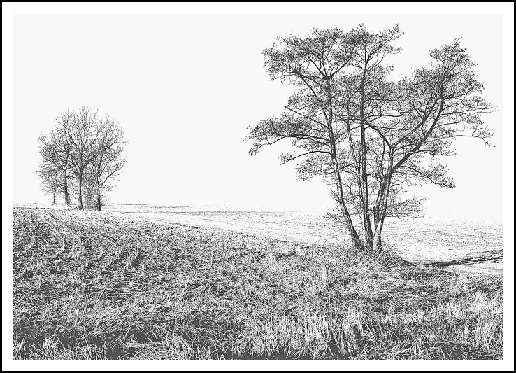 Alberi
