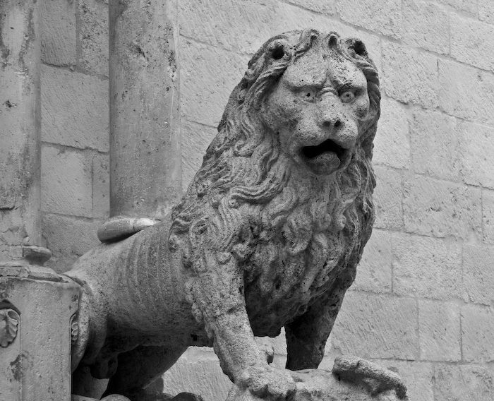 leone della cattedrale - altamura
