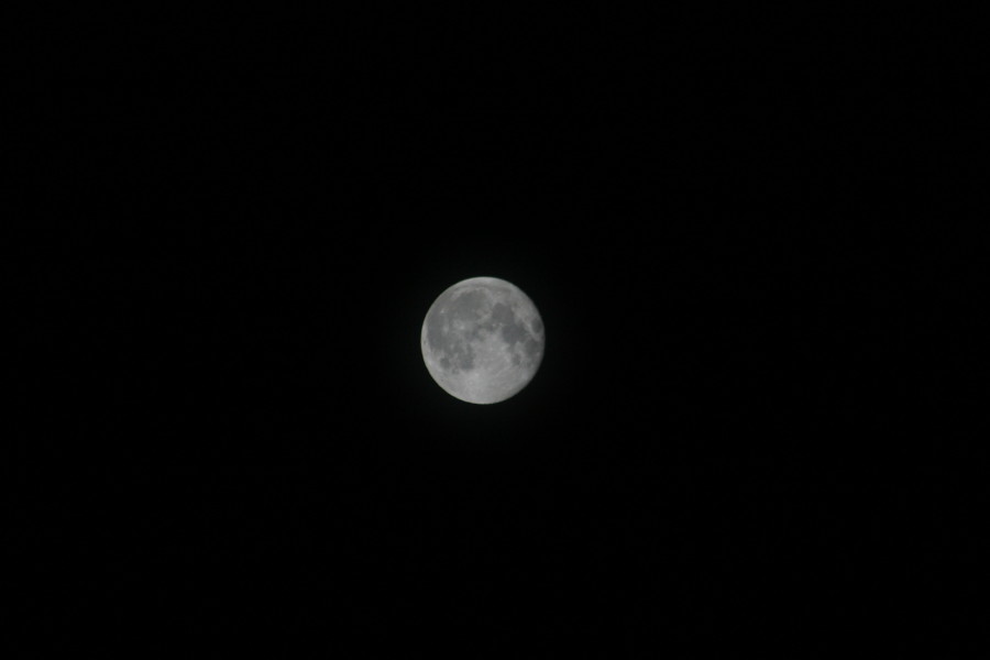 Luna
