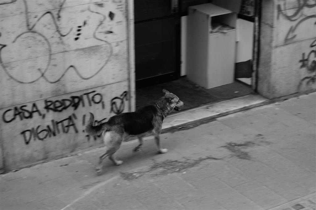 Via dalla citt