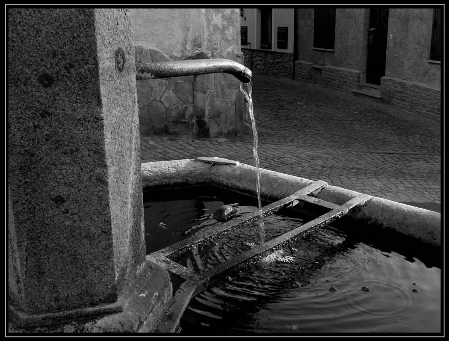 La mia Fontana