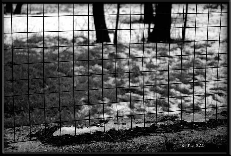 Linea di confine