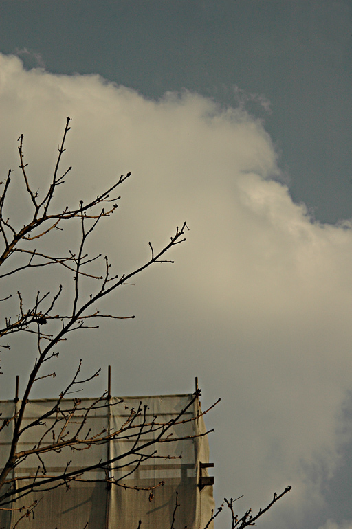architettura e natura