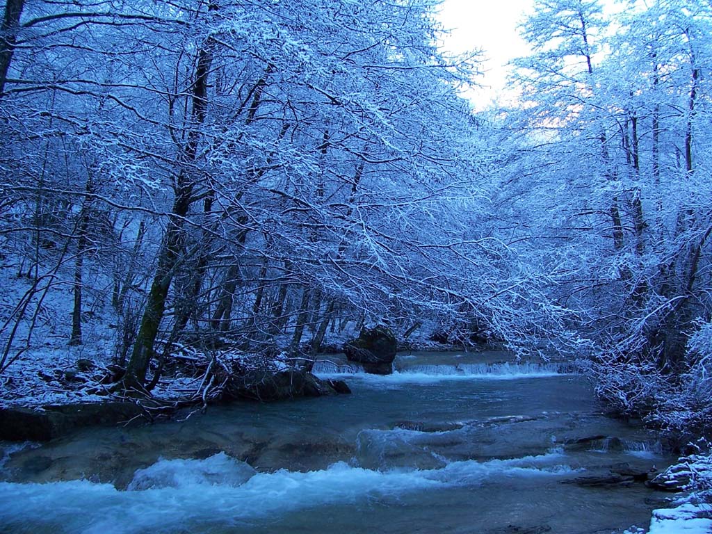 neve