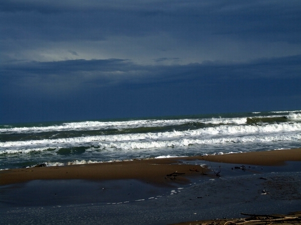 mare