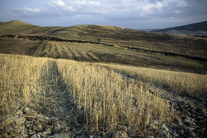 basilicata6