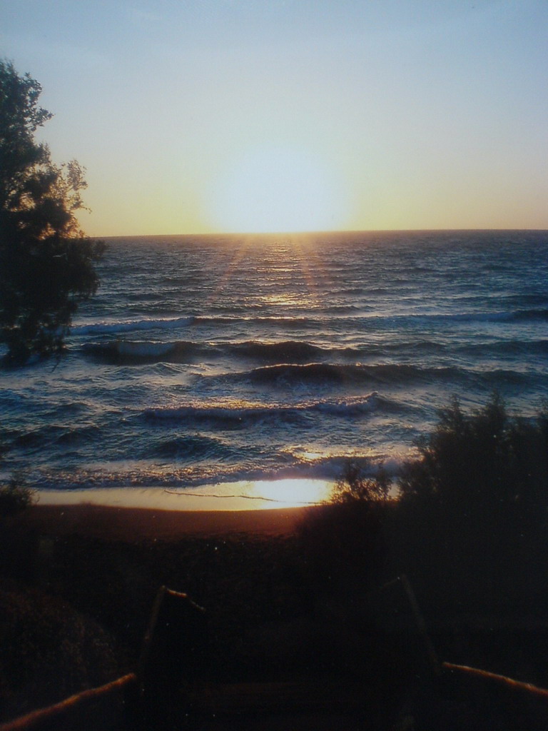 Cavalloni a Baratti