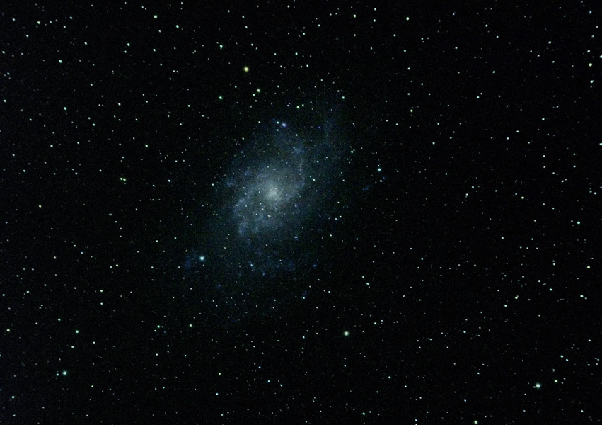 M33