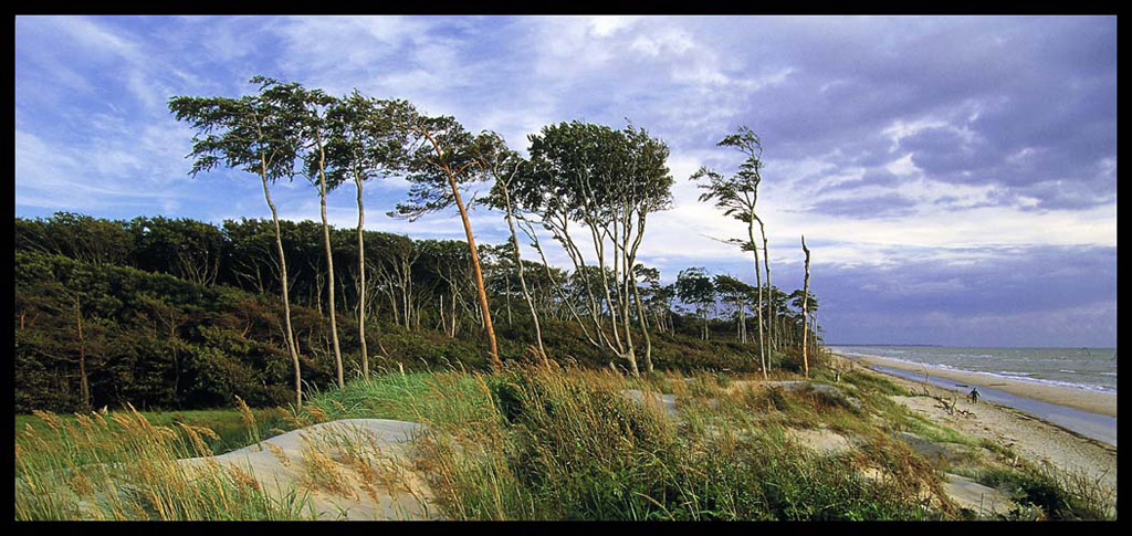 mar baltico