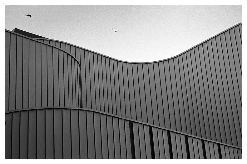 Curve