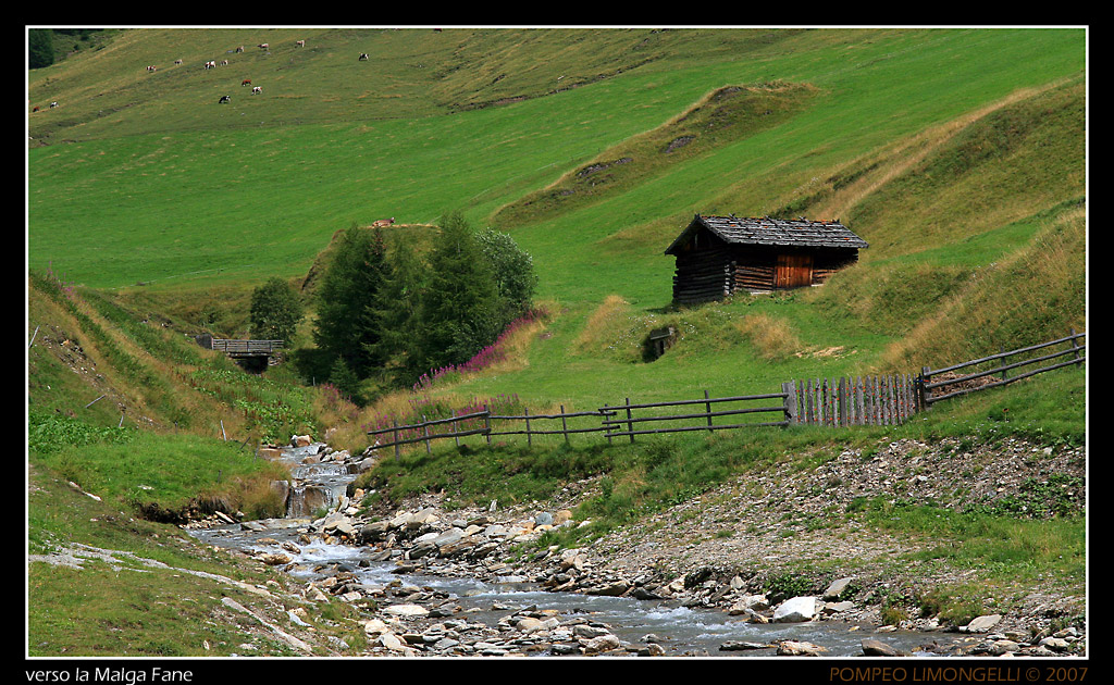 verso la Malga Fane