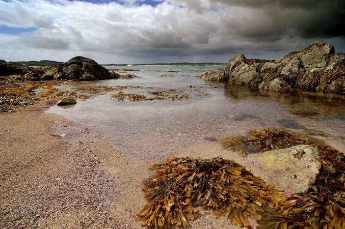 bassa marea