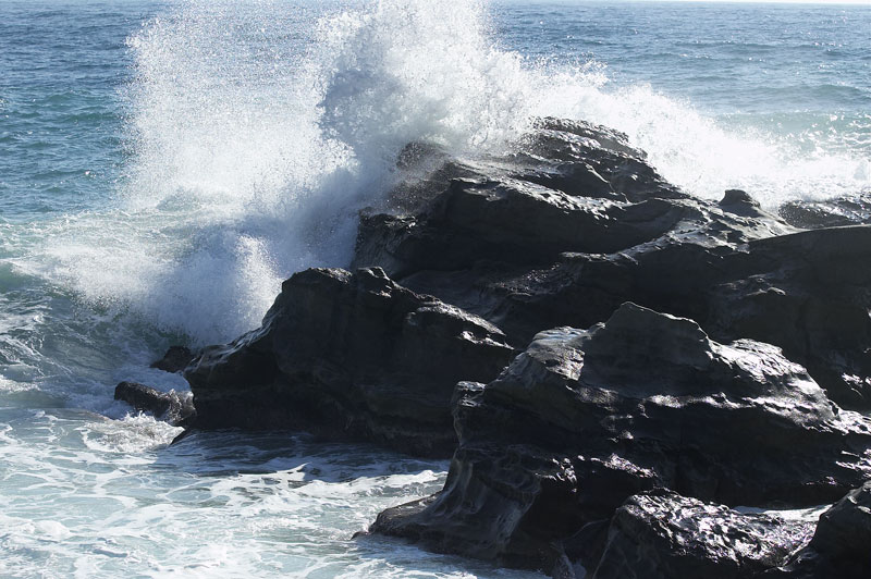 Homage_to_sea