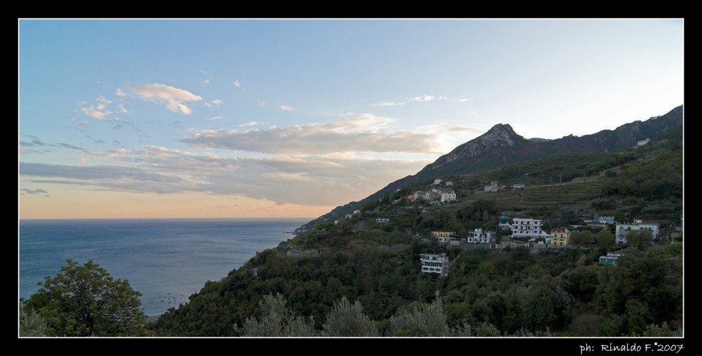 Benincasa #2
