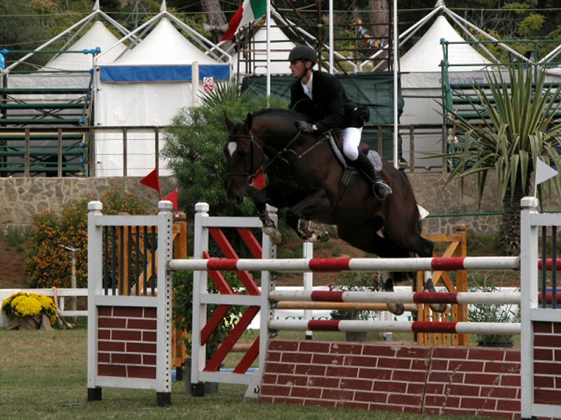 Medicavalli 2003