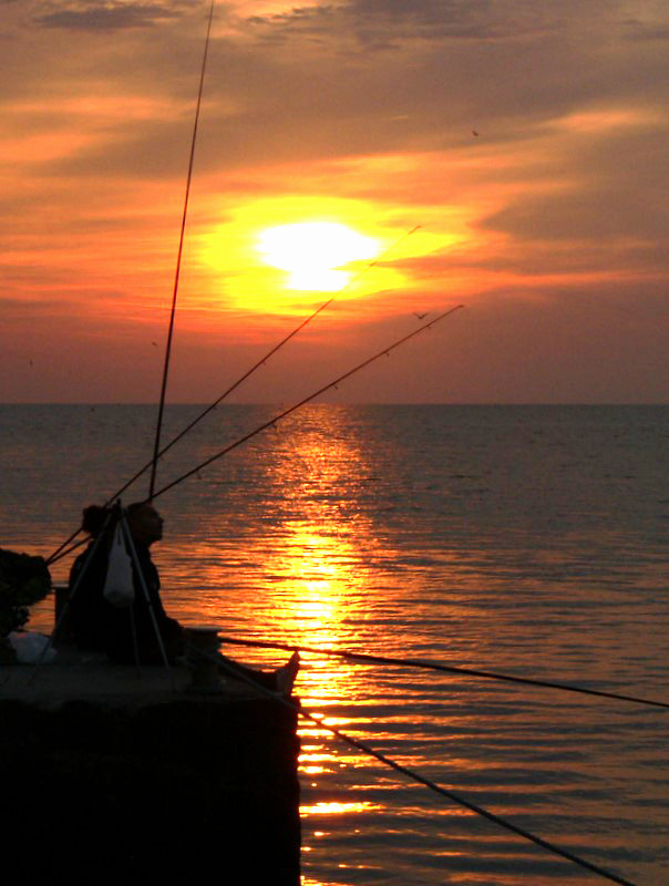 pescando si fa sera 2