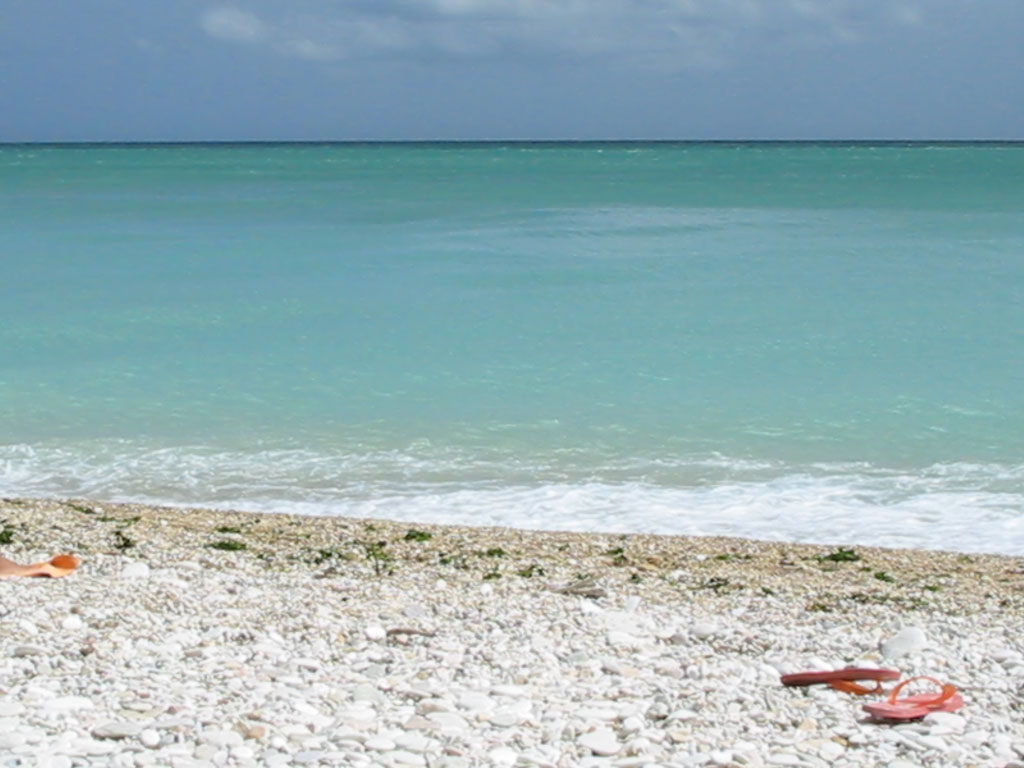 Vamos a la playa