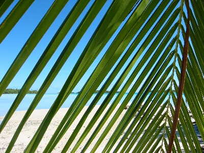 Rangiroa