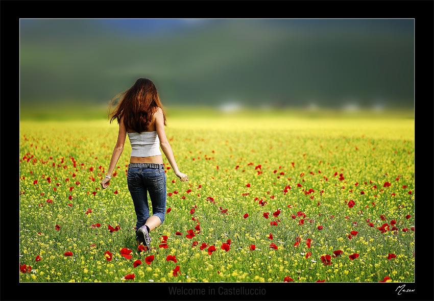 Welcome in Castelluccio (di MescoDesign)