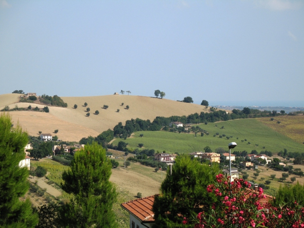 Panorama