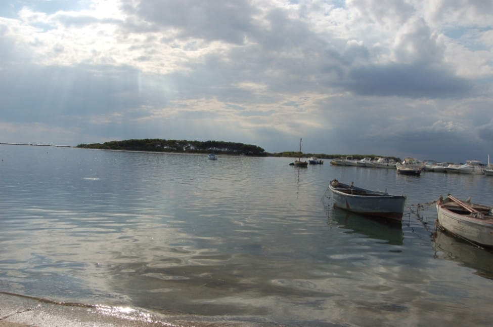 Gallipoli's