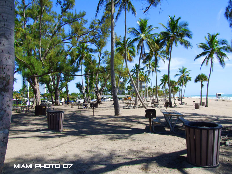 fort lauderdale7