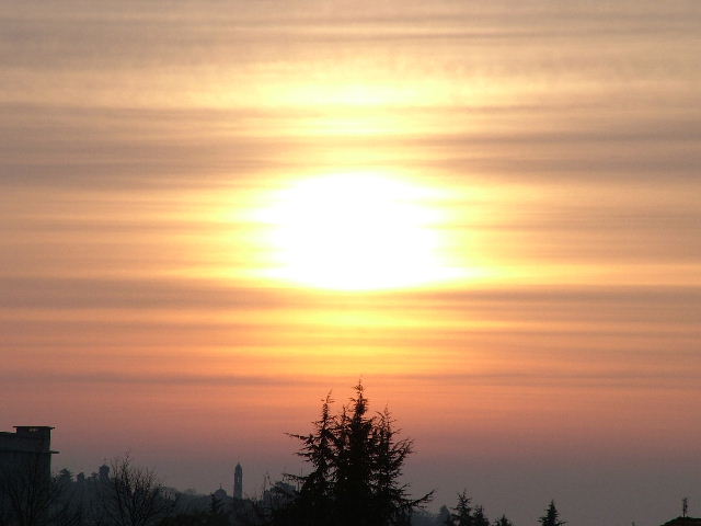 Alba