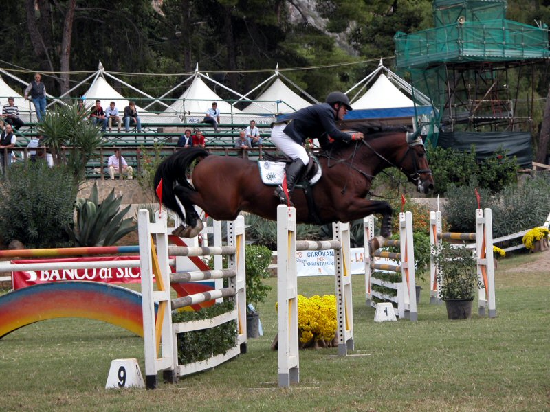 Medicavalli 2003