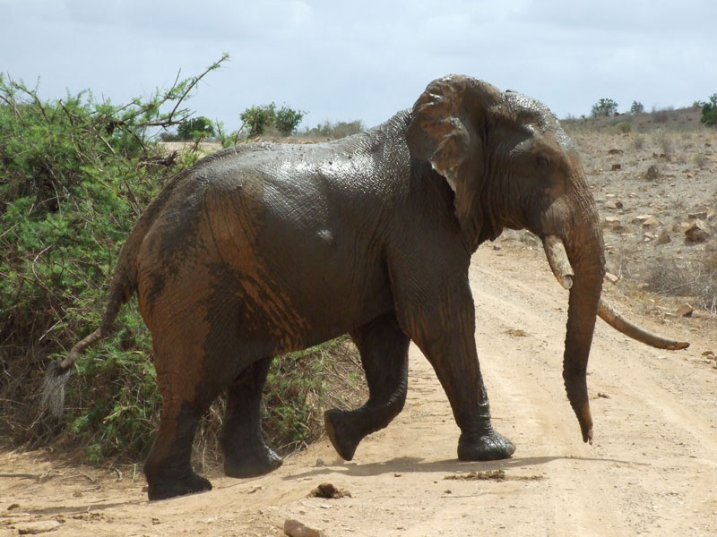 bello pulito...o quasi