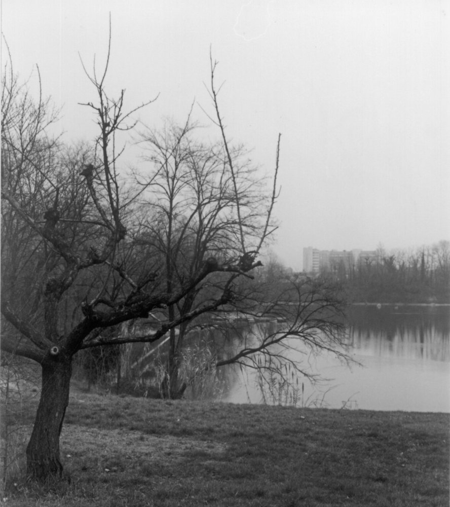 Parco delle Cave - Baggio (MI)