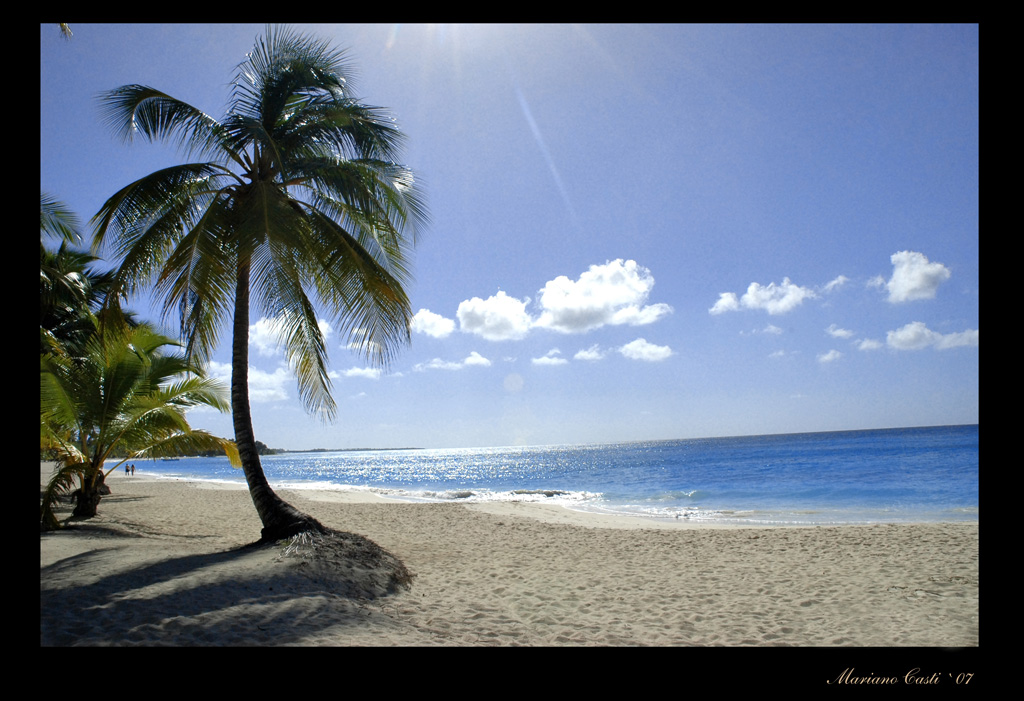 Saona beach