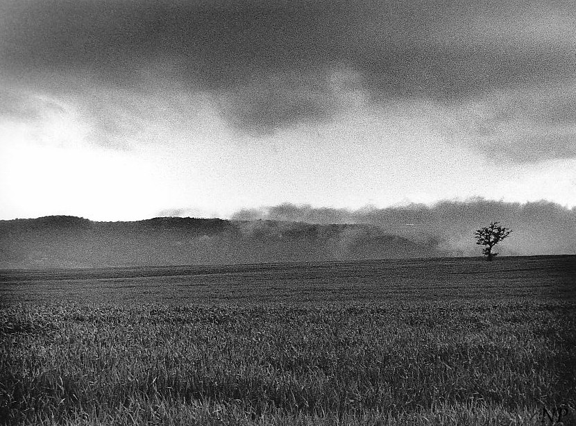 Umbria