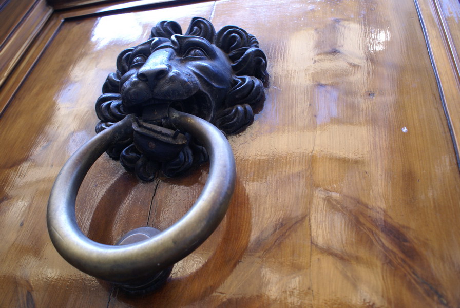 il leone