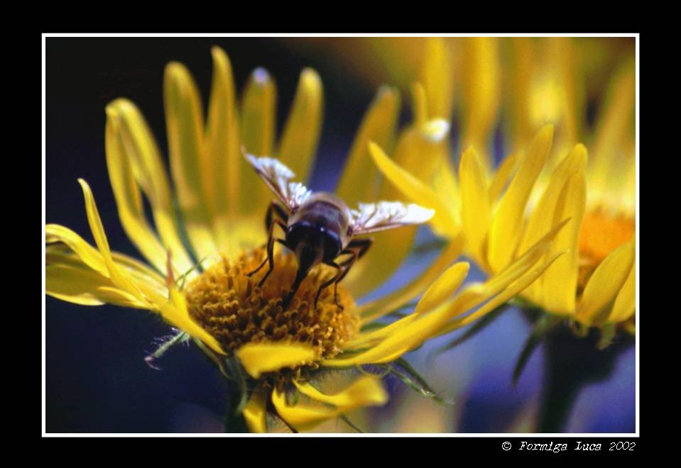 Valle Aurina, Alto Adige