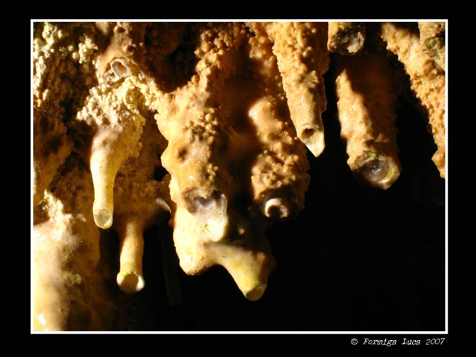 Grotta di Monte Capriolo, Lessinia