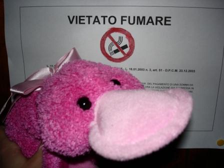 Piumottina